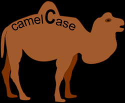 C# 命名原則 PascalCase、camelCase、Hungarian notation